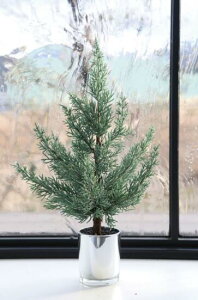 yX[p[Z[ N[|zzIz yzAeB[NG NX}X X fBXvC u IuWFyRxgK[feBAEJvX|bgc[ Lz23×s23×