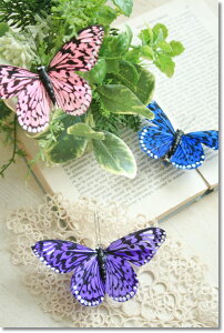 yzAeB[N G RxgK[f gsJo^tC AeB[NNbv 9×s7×2cm