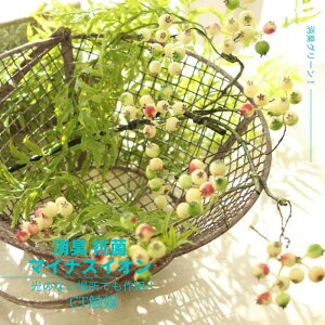  L x[  [X ԍ  CeA O[ tFCNO[ A[eBtBVt[x[cCbNii`O[bhjS72cm/CTG}