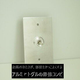 トグルスイッチ 3路スイッチ シルバー アルミ シングル 1口 アメリカン スイッチプレート 巾75mm×奥行2.5mm×高さ120mm