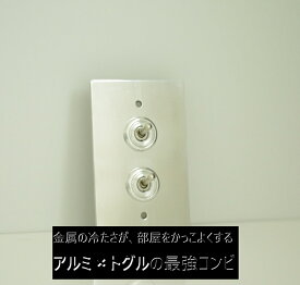 トグルスイッチプレート アルミ 2口 アンティーク調 スイッチカバー DIY インテリア 巾75mm×奥行2.5mm×高さ120mm