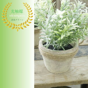 G}  CeAO[ AeB[N G y[400~zG}  ϗtA CeAO[ tFCNO[ Ly[Y}[|bgz