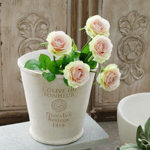 yX[p[Z[ N[|zzIz yzAؔ  킢  t`X^C i` AeB[N 񂹐A I[u v^[ n 7 24.5×H24.5cm