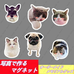 ʐ^}Olbg ʐ^ō①Ƀ}Olbg ʐ^v[g  L l ybgLOi v[g I[_[ChAObY