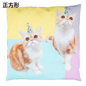 オーダー メイド ペット カーペット ペット用 記念品 オリジナル ペット カーペット メモリアル ミニクッション 写真 ぬいぐるみ グッズ 癒しグッズ 犬 猫 動物 かわいい クリスマス プレゼ