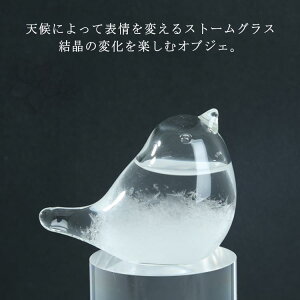 Xg[OX VC{g Xg[OX e|hbv  IuWF VC\{g Ђ悱 Cۗ\ CeA  ώ@ u G Xg[r 蕨 j KX M