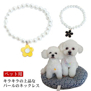 ^  p ANZT[  ybgp t[p[lbNX `[J[  lbNX y_g 킢 Lp  ˂p Ckp ʗp lRp t@bV 