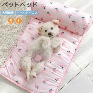  S5F ̂ybg}bg ybg⊴}bg ybgpi p}bg Ђ  ₽  L  t ėp ڐG⊴ ⊴xbh NbV ybg}bg Lp 