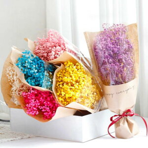  hCt[ ԑ ݑ v[g ԑ Iׂ7F Y ԍ ֏  v[g u[P hV̓ ̓   R Mtg a JXj J@j Ǐ N 