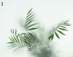 ガラス窓用 目隠しシート 植物柄 外から見えない 断熱 賃貸適用 オフィス 風呂場 ウィンドウフィルム めかくしシート はがせる 遮光 uvカット すりガラス風 インテリア ガラスシール 水で貼