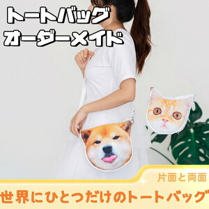 ʐ^ I[_[ChobO IWiobO g[gobO ʐ^vg ybg V_[obO AobO GRobO { LOi lR AObY ܎O ӂӂ oY