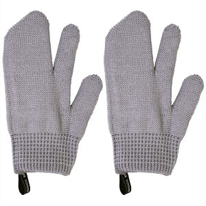 �T���x���� �r�X�g���搶 �a�̎R���܂�� ��� ���킵 2�g �O���[ ��12×1.5×21cm (���{��) TU26712