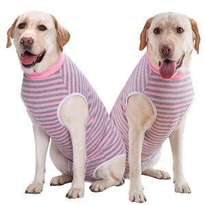 KUVEELA PET p㕞  p㕞 pEFA pJo[ ی앞 앞 D  ی 畆a ^ ^iO[{sN 5Lj