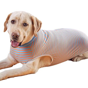KUVEELA PET p㕞  p㕞 pEFA pJo[ ی앞 앞 D  ی 畆a ^ ^iu[{IW LLj