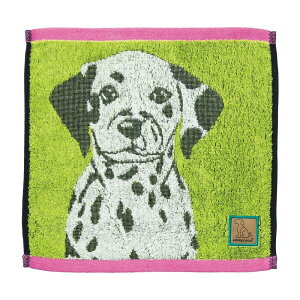  nJ` wonderful peace(_ts[X) uACY__VA  L 킢 R hL 100% 0765001600