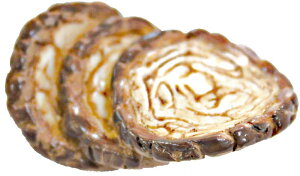 A^(Artha) [̋u  H17×W48×D31mm [̋u `[V[ AR0623291