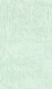GXPg Fp UbN66 130kg A5 ݂ǂ 100 1432236