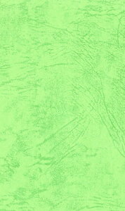 GXPg Fp UbN66 130kg l CgO[ 10 1430080