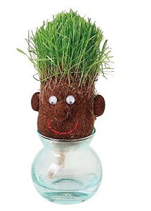 Ԃ ͔|Zbg hair LABO wA{ X}[g