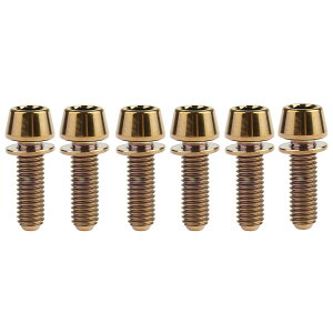 Dingtai 6�� ���b�V���[�e�[�p�[�w�b�h�{���gM5x 16 18 20mm�S�[���`�^���o�C�N�X�e�� (�u�����Y, M5x20mm)