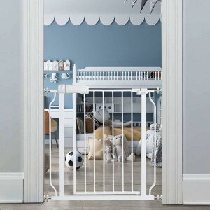 Gt xr[(Fairy Baby) xr[Q[g t74-86cm 78cm Ki ˂莮 I[gN[Y@\ J Ԃ Q[g oAt[  gt zCg