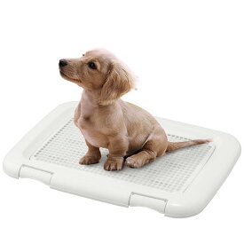 アイリスオーヤマ 犬 トイレ しつけ メッシュカバー付 フチもれしにくいトレーニングペットトレー レギュラー 銀イオン配合 抗菌 アイボリー