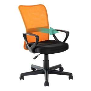 yj[AłɁzACXvU It BX`FA I bV ʋC NbV T|[go[ iK~ 360x] RpNg OFC-M IW