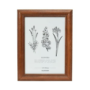 tWJ[ FUJICOLOR tHgt[ ʐ^ ؐ 4422K 2LTCY uE