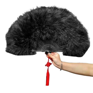 LOYELEY q Hq W q WAiHq _X  ӂӂ p[eB[ x fBXR ou nEB RXv 䓹   o (ubN)