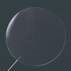 JV[ V[ 1000   NA ~ (, 25mm)