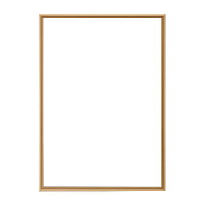 ��z �A���~�p�l�� �|�X�^�[�z 5016 A2 �S�[���h