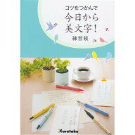 呉竹 ノート 練習帳 硬筆練習 コツをつかんで 今日から美文字 DAW100-8