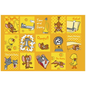 XP[^[(Skater) qp W[ V[g lp STCY  60×90cm gWF[ nbs[ VS1-A