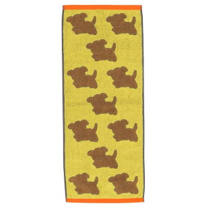  tFCX^I fBbNEu[i u[iXibtB[  |gK  5805024900