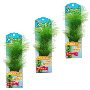 WFbNX GEX _JC _JiӂӂYM×3Zbg