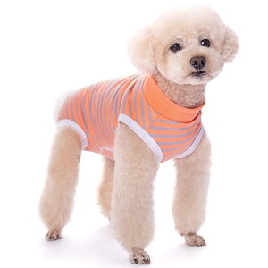 KUVEELA PET p㕞  L p㕞 pEFA pJo[ ی앞 앞 D  ی 畆a ^ ^iIW{O[ Mj