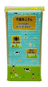 {X^[ sDzӂ 10 HEH@ z ͂₭qI 35×60cm