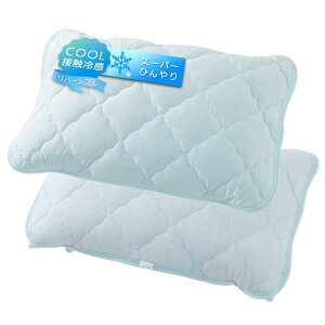 ACXvU ڐG⊴N[pbh 43×63cm Q-MAX0.461 Ȃ₩f×z ӂ蔧G o[Vu RۖhL ېOK X[p[Ђ ACXu[ LBCPP-4363-2P