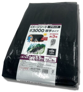  ubNV[g W[V[g #3000 7.2×9m  Ogpڈ3N J悯 悯 ς ng 30L729