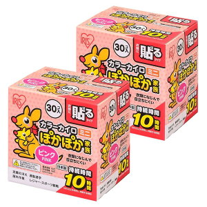 ACXI[} JC 60 \ ~j ۂۂƑ 30×2Zbg sN