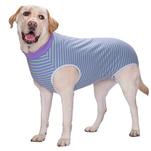 KUVEELA PET p㕞  p㕞 pEFA pJo[ ی앞 앞 D  ی 畆a ^ ^ip[v{O[ LLj
