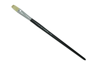 �����听��(Namurataiseidou) ���ʕM SV 18�� ��