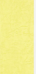 GXPg Fp UbN66 130kg   100 1430078