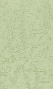 GXPg Fp UbN66 130kg A4 A{Jh 10 1430211
