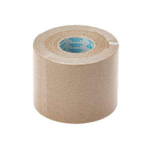 | ySe͕сz [f No.5 6