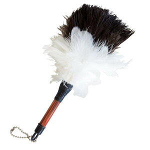 ESCI y{z_bV{[hfXÑzR! Jtŉ~jт΂ zCg M19