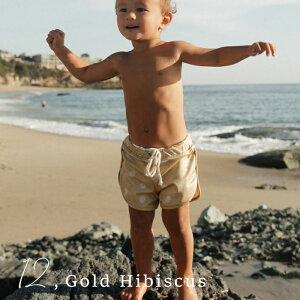  n[tpc T[tpc gNX LbY UVJbg {ĝ q n jp xr[ XCEFA O΍ SPF50+ 悯   j̎q  ̎q  LbY ina swim