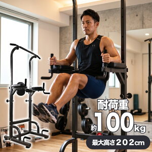 ぶら下がり健康器 トレーニング」の人気商品一覧・価格比較 - 価格.com