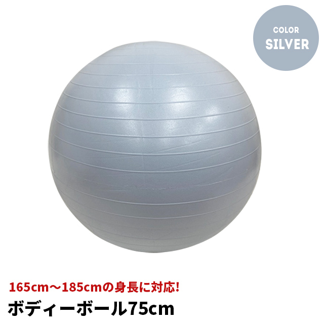 バランス感覚を鍛える ボディーボール 75cm (シルバー) NR-2242 ヨガボール ダイエット エクササイズ ヨガ ピラティス ボール 運動  体幹 トレーニング バランス スポーツ器具