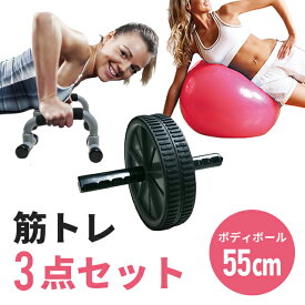 楽天市場 プッシュアップバー バランスボール スポーツ器具 フィットネス トレーニング スポーツ アウトドアの通販